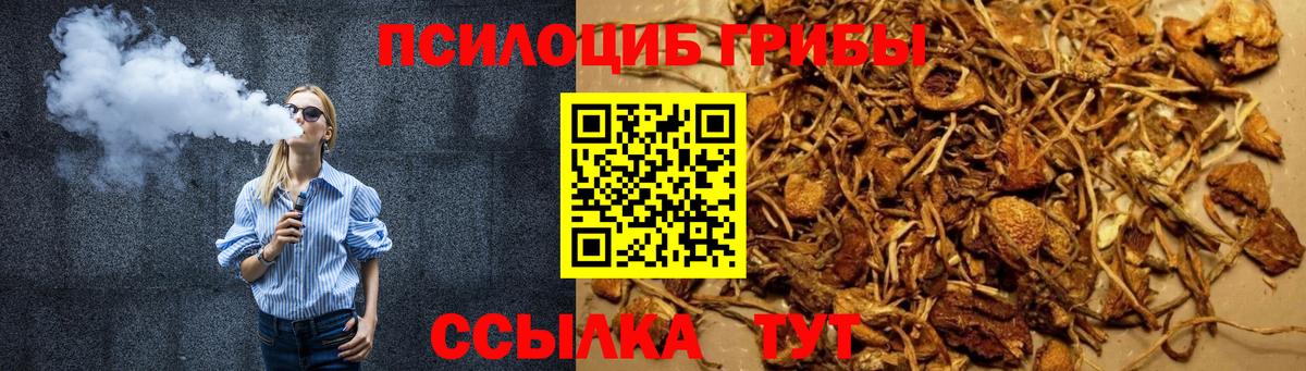 Псилоцибиновые грибы Psilocybine cubensis Кызыл