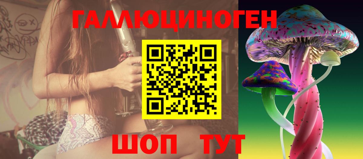 Кызыл  Галлюциногенные грибы Psilocybine cubensis  Вход с VPN 